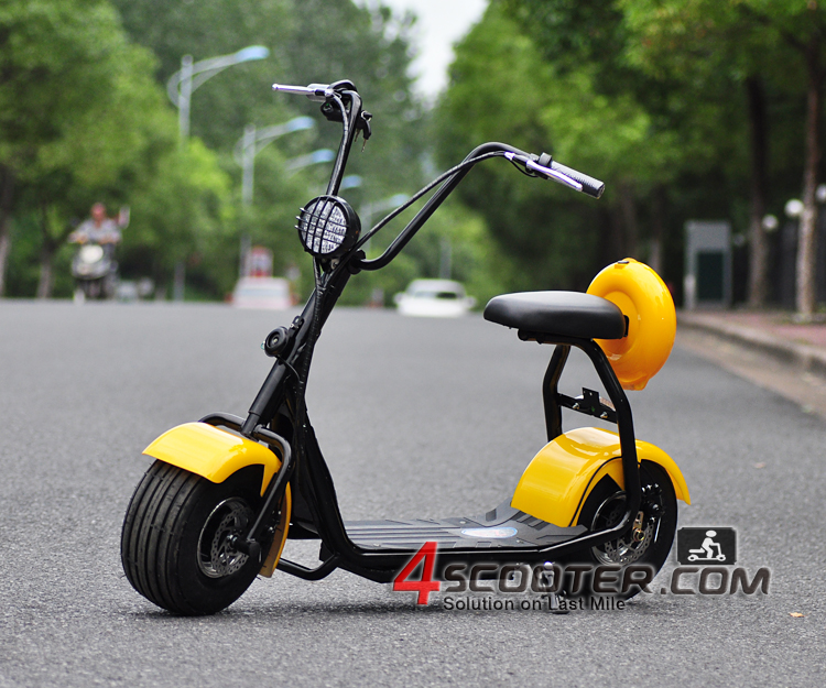 Citycoco Electric Scooter
